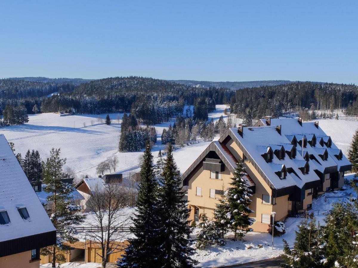 Apartment Schwarzwaldblick-14 By Interhome Schonach im Schwarzwald Экстерьер фото
